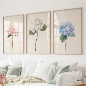 Minimalist Botanical Hydrangea Art Poster Decor